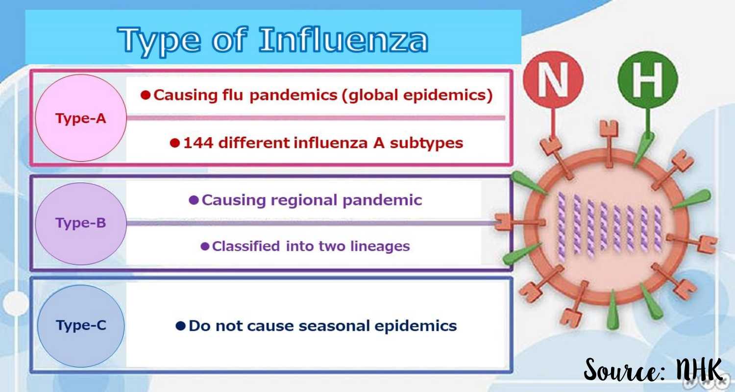 Tipe VIrus Influenza