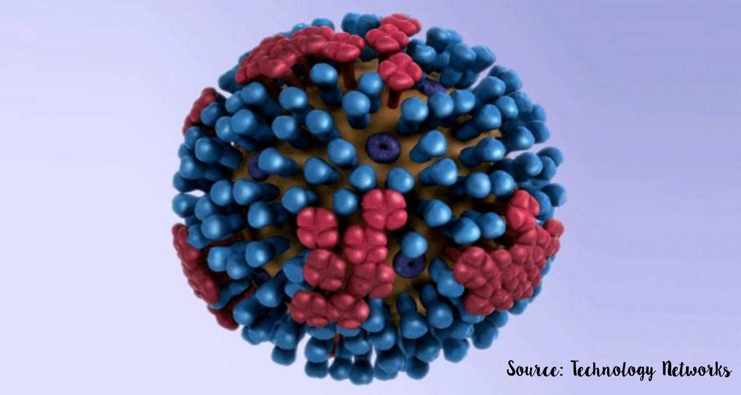 gambar virus influenza