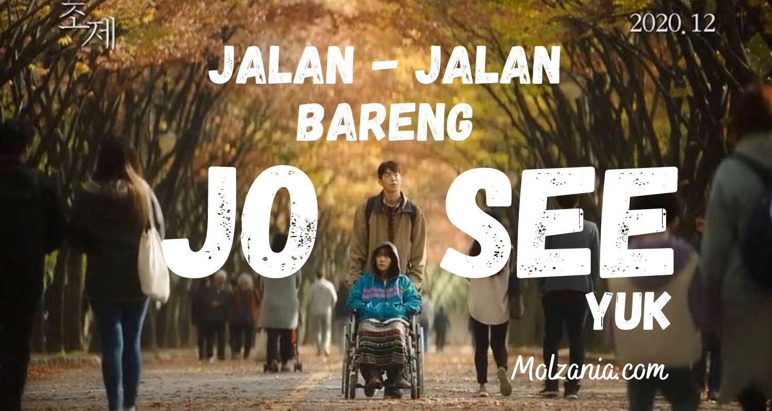 Berwisata Ramah Disabilitas ke Korea Lewat Film Josee