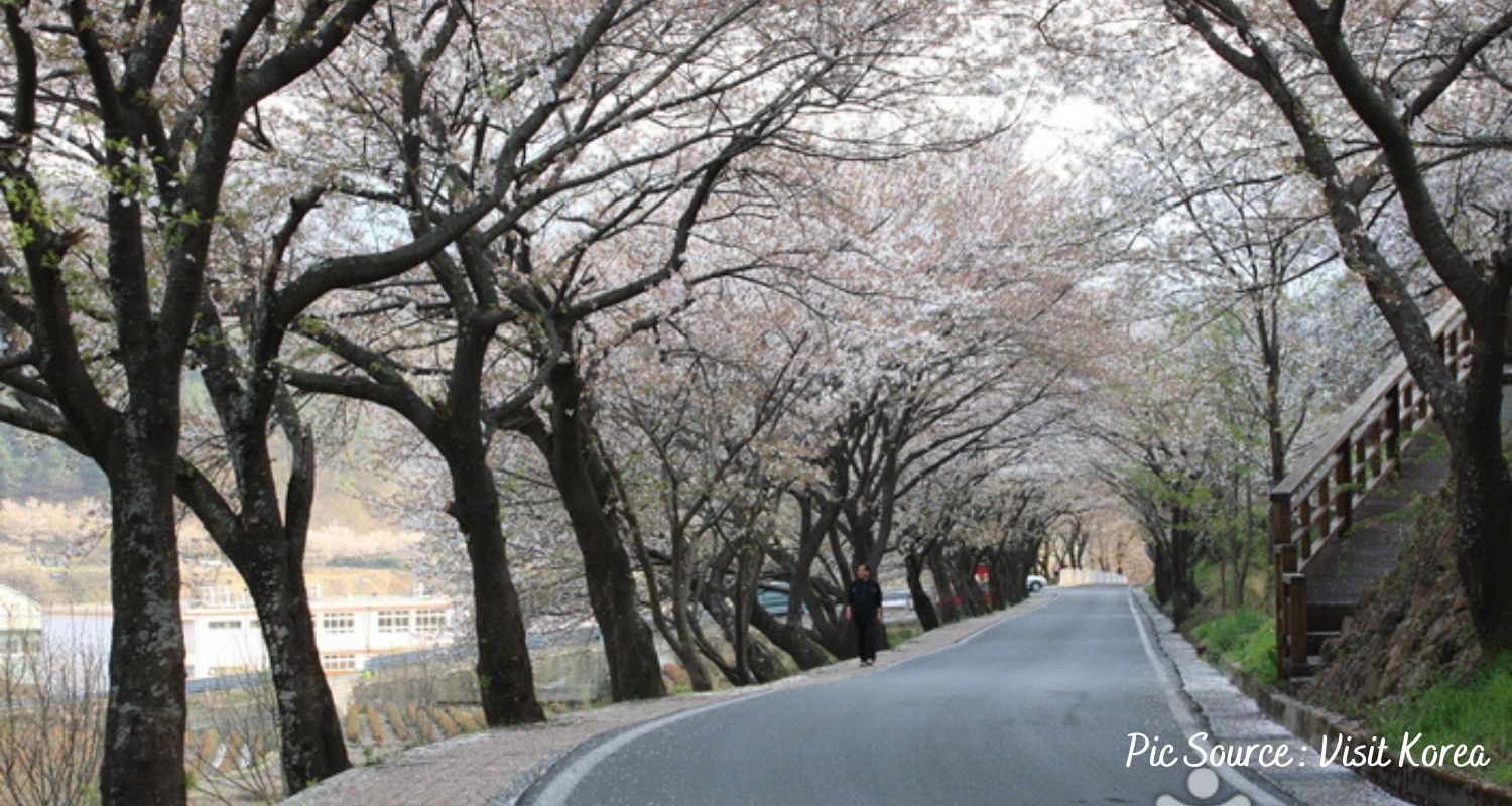 Hwagae Road