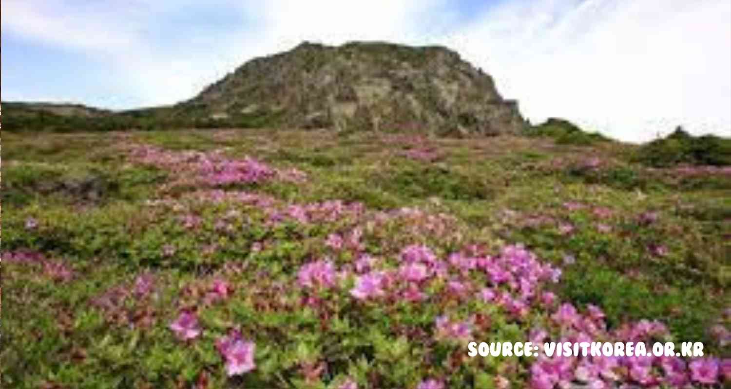 Hallasan National Park