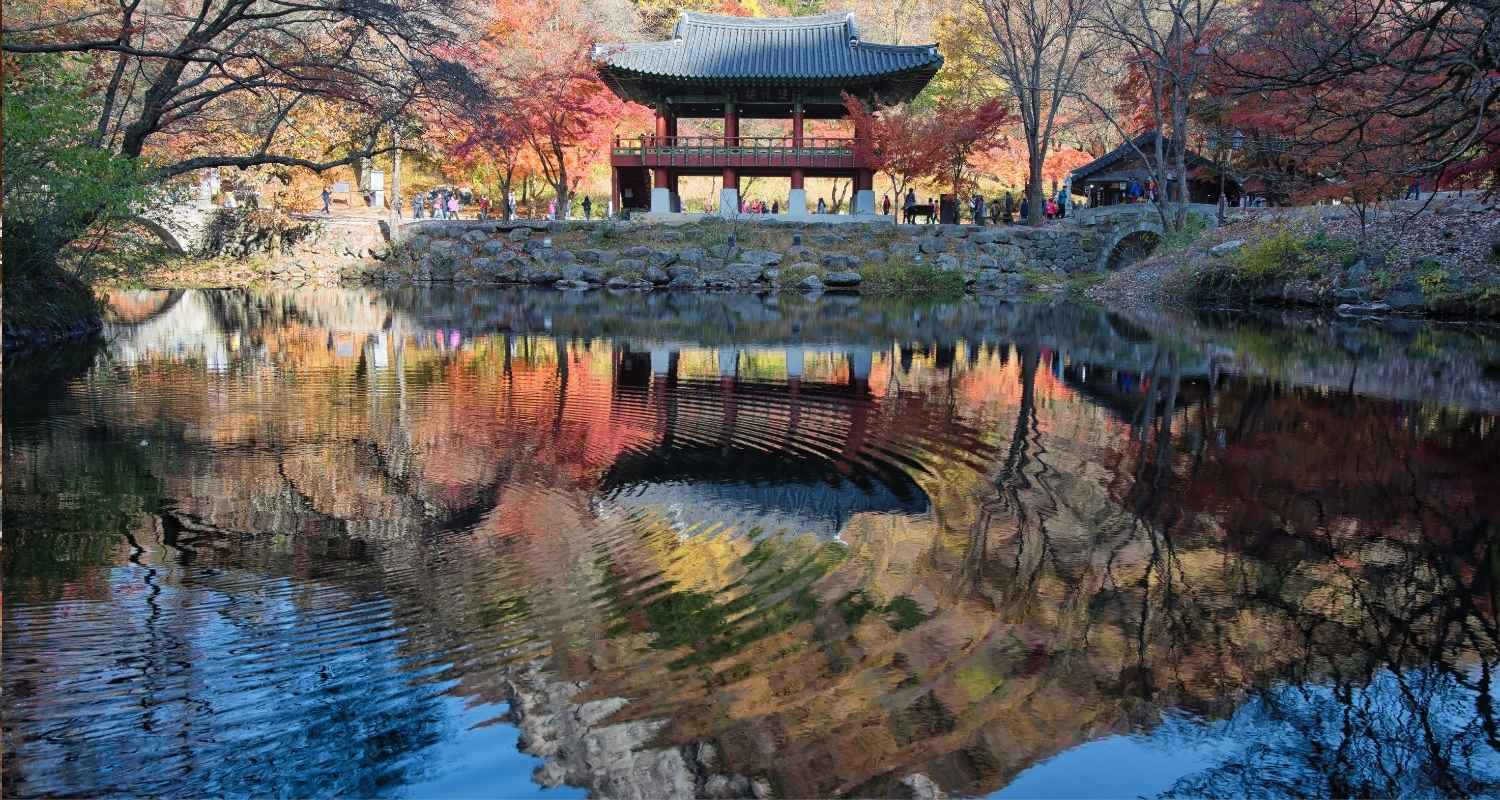 Rekomendasi 10 Tempat Wisata Musim Gugur Di Korea Selatan
