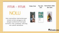 Fitur aplikasi kencan nolu