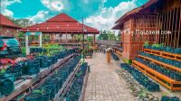  Halaman Desa Wisata Quran di Palembang