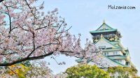 Tips Liburan Hemat ke Jepang