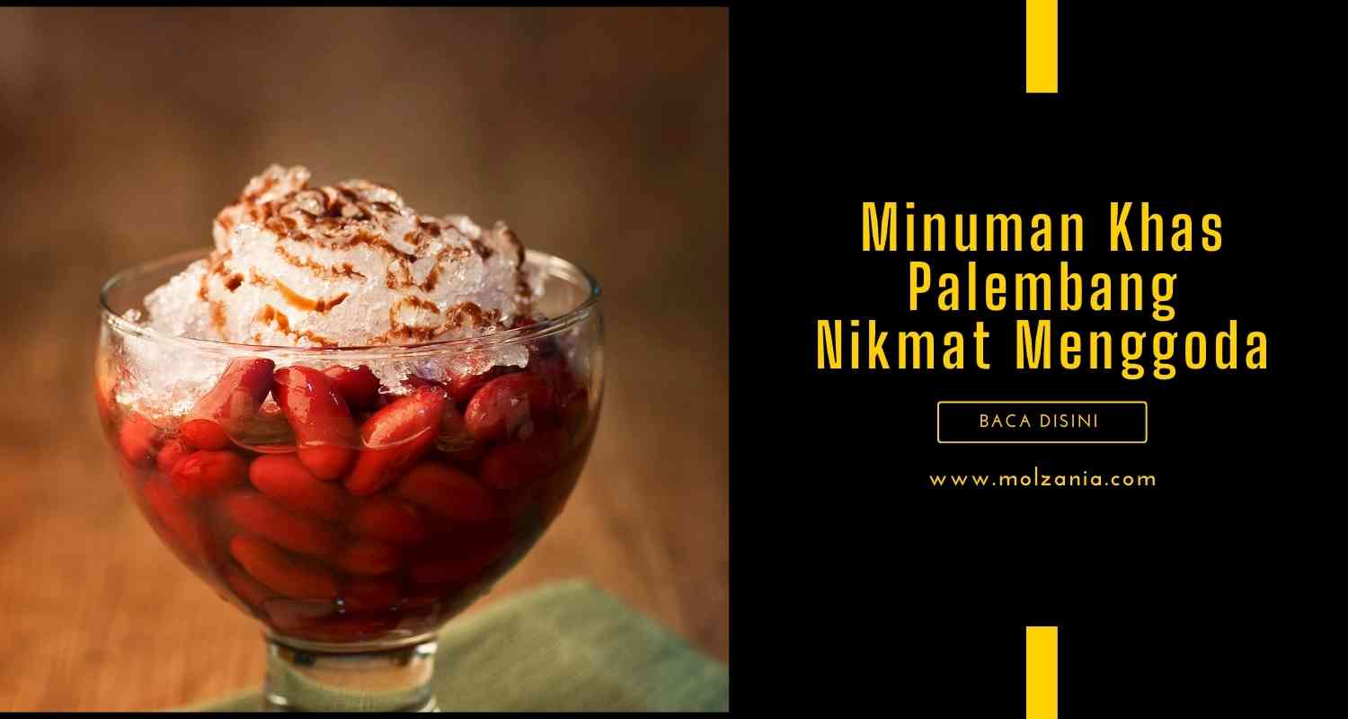 Minuman Palembang