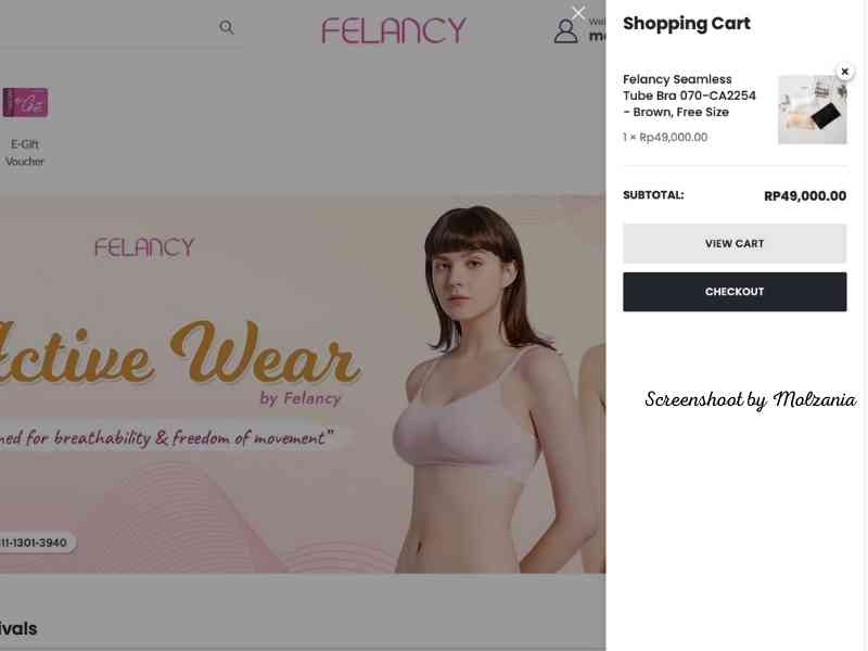 cara belanja online