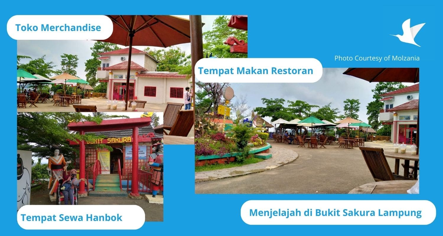Wisata Ramah Disabilitas di Bukit Sakura Lampung