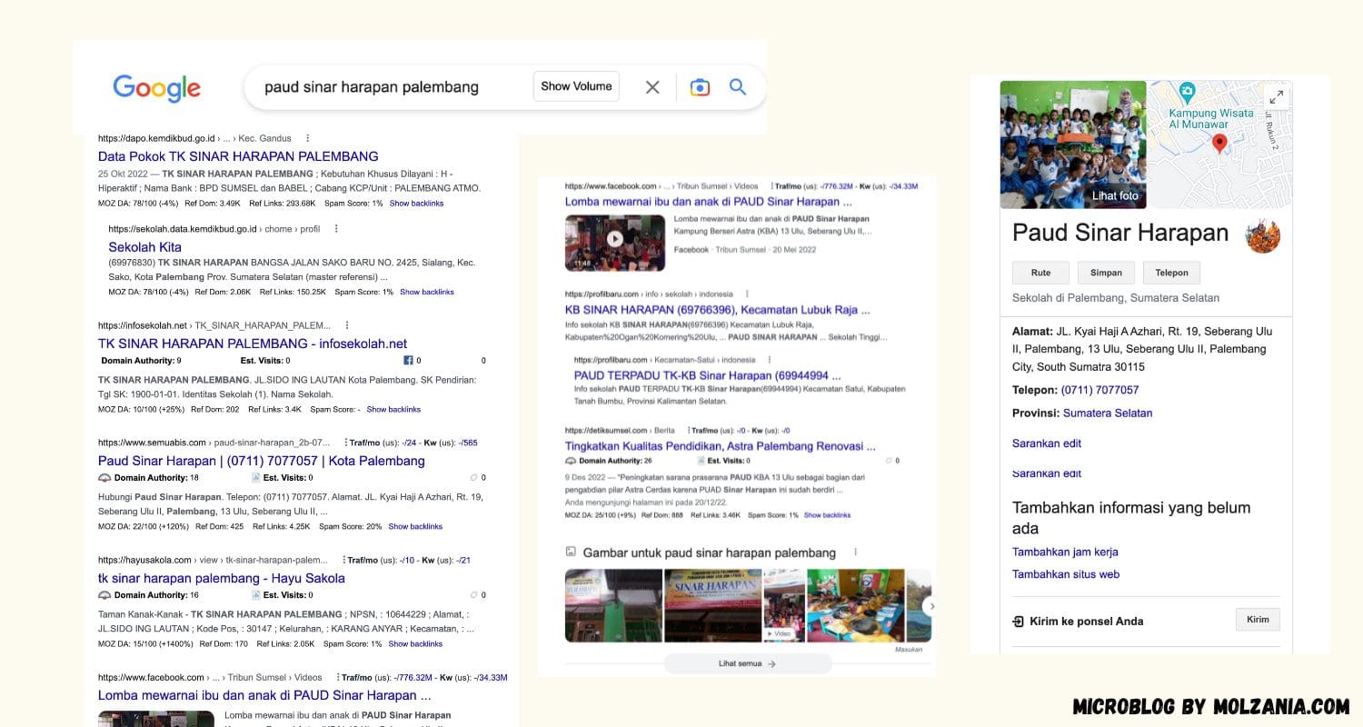 pencarian google tentang paud