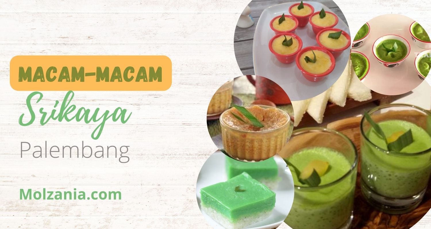 6 Macam Kue Srikaya Palembang Asli. Mana Favoritmu?