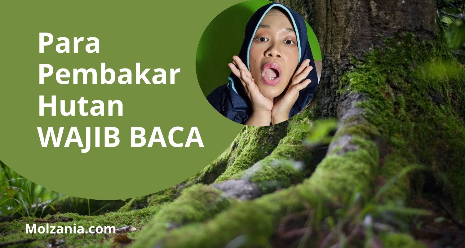 Para Pembakar Hutan WAJIB BACA