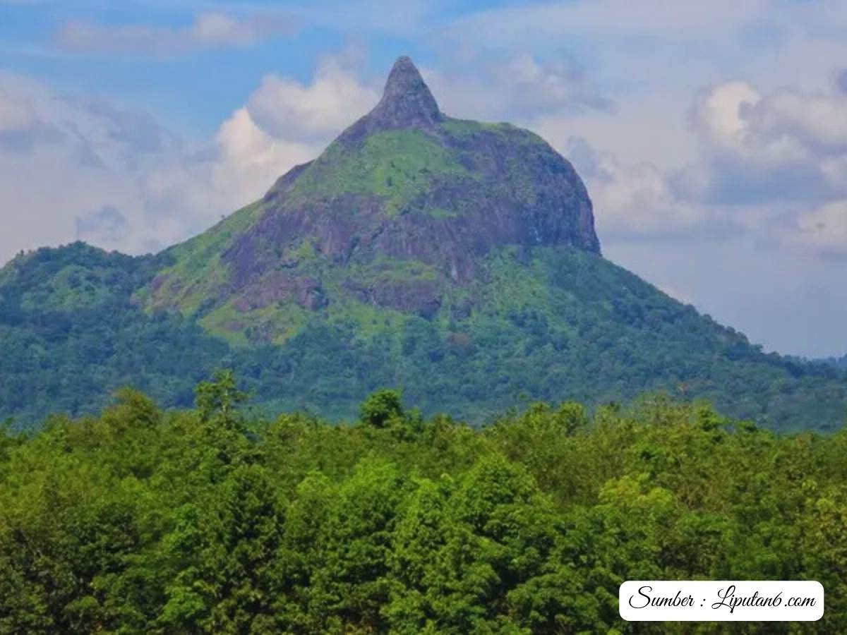 Bukit Serelo bukit jempol