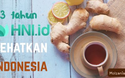 Milad ke-13, HNI Siap Kolaborasi Menjayakan Negeri