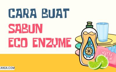 Cara Mudah Buat Sabun Eco Enzyme