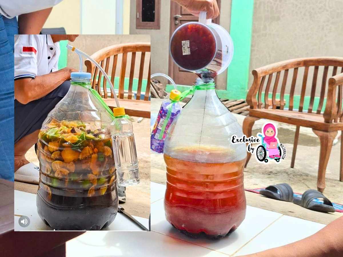 proses pembuatan larutan eco enzym